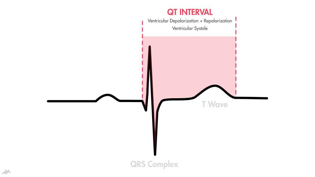 The Cardiac Cycle (P-QRS-T) | Nucleotype